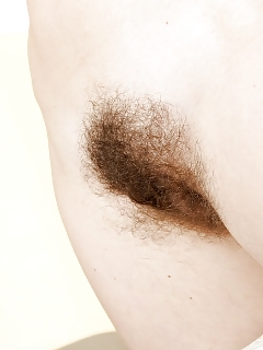 Joe Crazy Hairy Ants