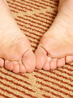 Artimesia Atk Hairy Indian