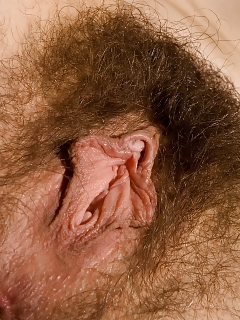 Renee Hairy Armenian